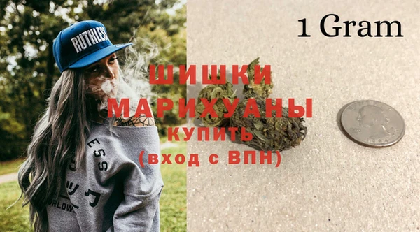 крисы Баксан