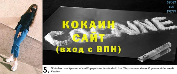 крисы Баксан