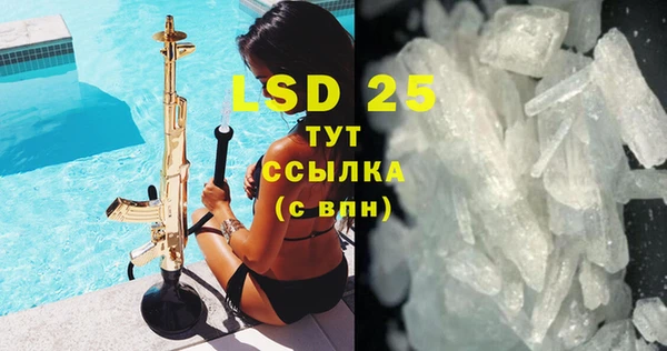 крисы Баксан