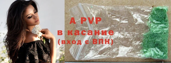 крисы Баксан