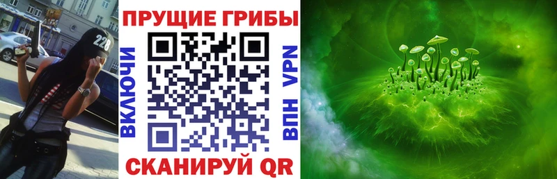 Купить где  Кизилюрт  Псилоцибиновые грибы мицелий 